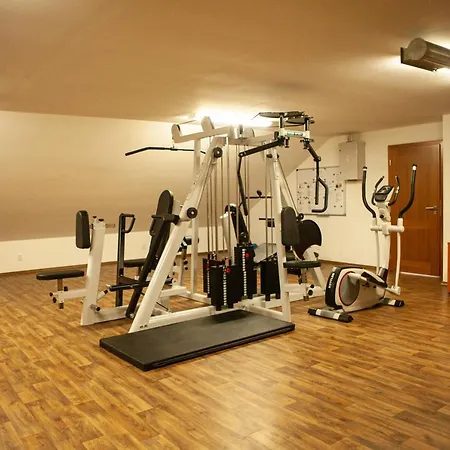 Hotel Golf&wellness 4*
